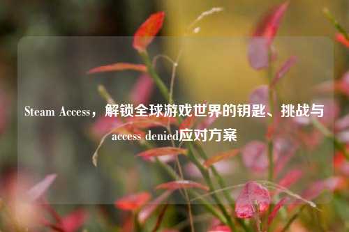 Steam Access，解锁全球游戏世界的钥匙、挑战与access denied应对方案