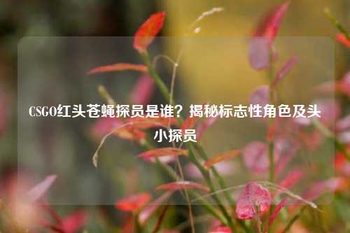 CSGO红头苍蝇探员是谁？揭秘标志性角色及头小探员