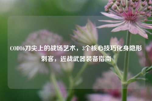 COD16刀尖上的战场艺术，3个核心技巧化身隐形刺客，近战武器装备指南