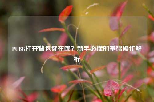 PUBG打开背包键在哪？新手必懂的基础操作解析