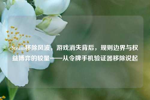 Steam移除风波，游戏消失背后，规则边界与权益博弈的较量——从令牌手机验证器移除说起