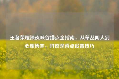 王者荣耀深夜峡谷蹲点全指南，从草丛阴人到心理博弈，附夜晚蹲点设置技巧