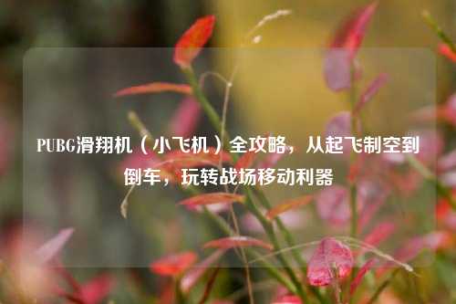 PUBG滑翔机（小飞机）全攻略，从起飞制空到倒车，玩转战场移动利器