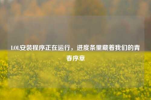 LOL安装程序正在运行，进度条里藏着我们的青春序章
