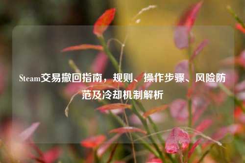 Steam交易撤回指南，规则、操作步骤、风险防范及冷却机制解析