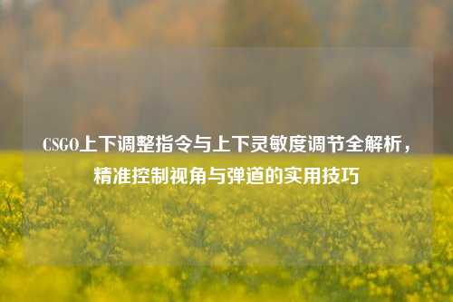 CSGO上下调整指令与上下灵敏度调节全解析，精准控制视角与弹道的实用技巧