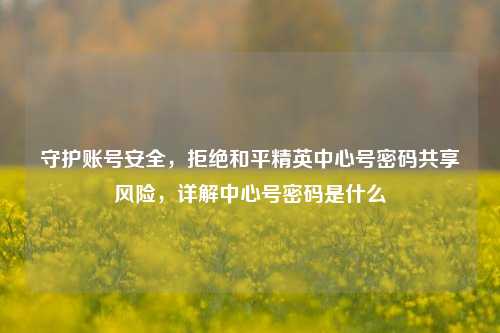 守护账号安全，拒绝和平精英中心号密码共享风险，详解中心号密码是什么