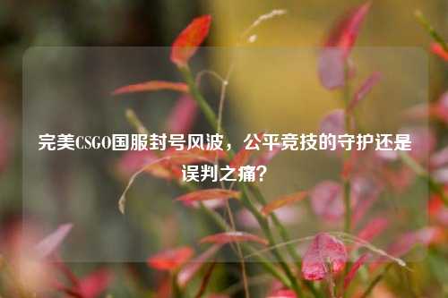 完美CSGO国服封号风波，公平竞技的守护还是误判之痛？