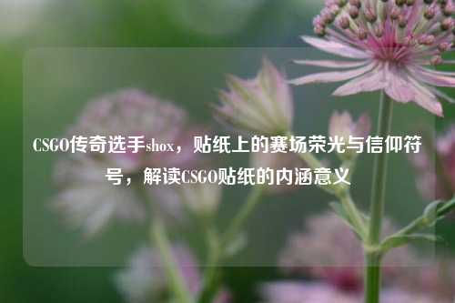 CSGO传奇选手shox，贴纸上的赛场荣光与信仰符号，解读CSGO贴纸的内涵意义