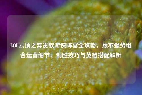 LOL云顶之弈贵族游侠阵容全攻略，版本强势组合运营细节、制胜技巧与英雄搭配解析