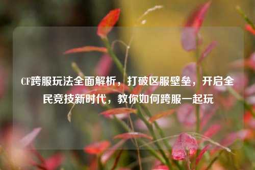 CF跨服玩法全面解析，打破区服壁垒，开启全民竞技新时代，教你如何跨服一起玩