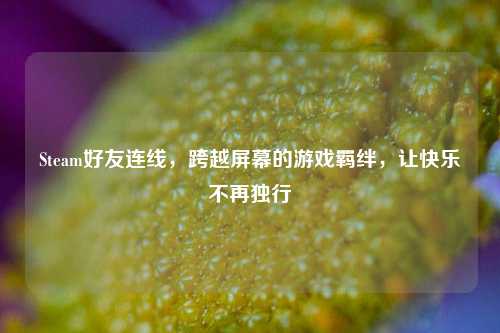 Steam好友连线，跨越屏幕的游戏羁绊，让快乐不再独行