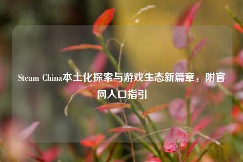 Steam China本土化探索与游戏生态新篇章，附官网入口指引
