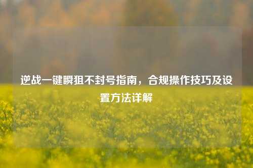 逆战一键瞬狙不封号指南，合规操作技巧及设置 *** 详解