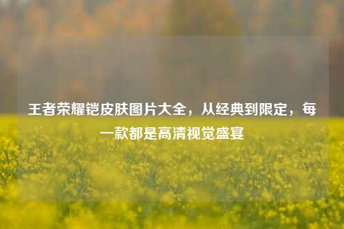 王者荣耀铠皮肤图片大全，从经典到限定，每一款都是高清视觉盛宴