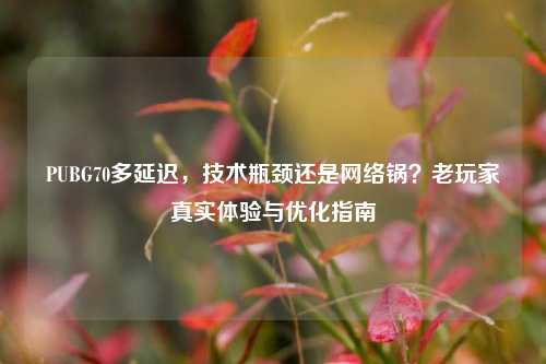 PUBG70多延迟，技术瓶颈还是 *** 锅？老玩家真实体验与优化指南