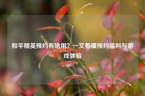 和平精英预约有啥用？一文看懂预约福利与游戏体验