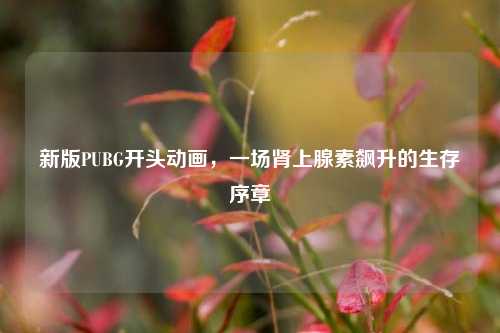 新版PUBG开头动画，一场肾上腺素飙升的生存序章