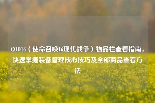 COD16（使命召唤16现代战争）物品栏查看指南，快速掌握装备管理核心技巧及全部商品查看 *** 