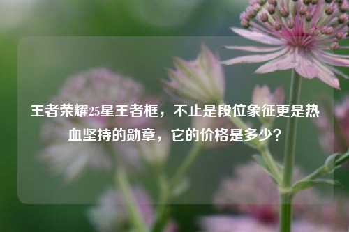 王者荣耀25星王者框，不止是段位象征更是热血坚持的勋章，它的价格是多少？