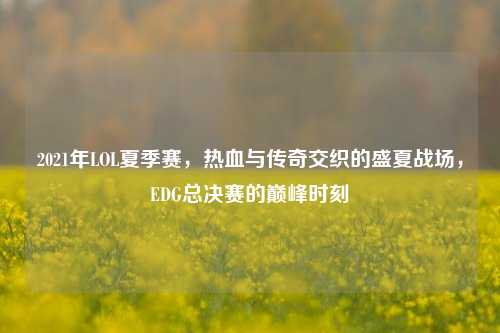 2021年LOL夏季赛，热血与传奇交织的盛夏战场，EDG总决赛的巅峰时刻