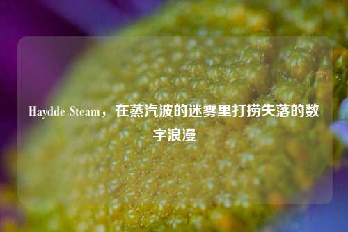 Haydde Steam，在蒸汽波的迷雾里打捞失落的数字浪漫