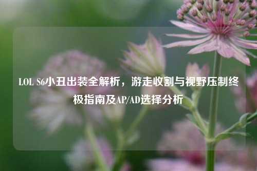 LOL S6小丑出装全解析，游走收割与视野压制终极指南及AP/AD选择分析