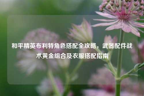 和平精英布利特角色搭配全攻略，武器配件战术黄金组合及衣服搭配指南