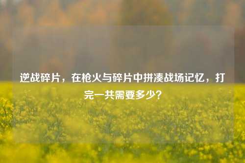 逆战碎片，在枪火与碎片中拼凑战场记忆，打完一共需要多少？