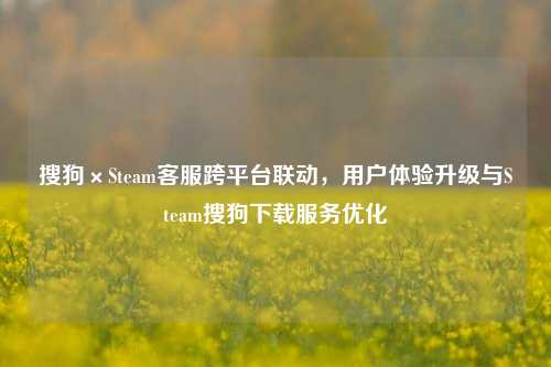搜狗×Steam客服跨平台联动，用户体验升级与Steam搜狗下载服务优化
