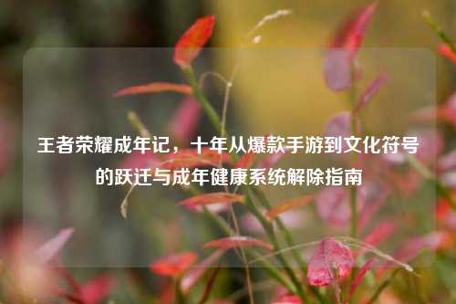 王者荣耀成年记，十年从爆款手游到文化符号的跃迁与成年健康系统解除指南