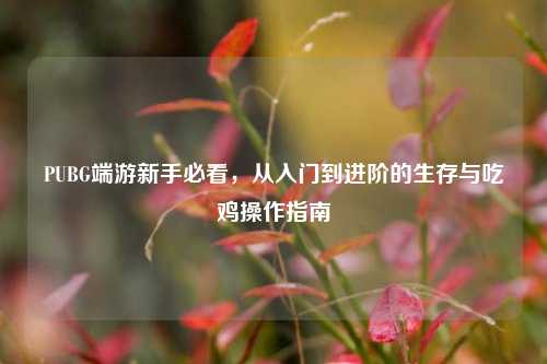 PUBG端游新手必看，从入门到进阶的生存与吃鸡操作指南