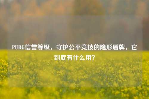 PUBG信誉等级，守护公平竞技的隐形盾牌，它到底有什么用？