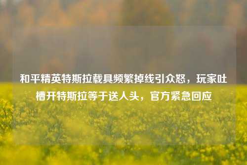 和平精英特斯拉载具频繁掉线引众怒，玩家吐槽开特斯拉等于送人头，官方紧急回应