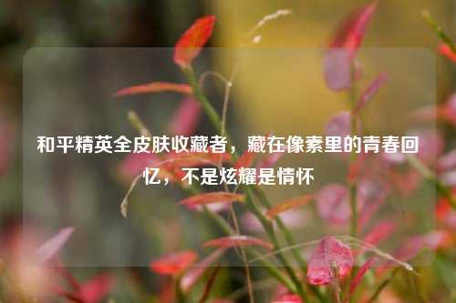 和平精英全皮肤收藏者，藏在像素里的青春回忆，不是炫耀是情怀
