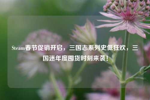 Steam春节促销开启，三国志系列史低狂欢，三国迷年度囤货时刻来袭！