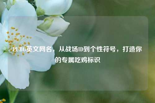 PUBG英文网名，从战场ID到个性符号，打造你的专属吃鸡标识