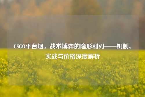 CSGO平台烟，战术博弈的隐形利刃——机制、实战与价格深度解析