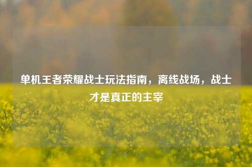 单机王者荣耀战士玩法指南，离线战场，战士才是真正的主宰