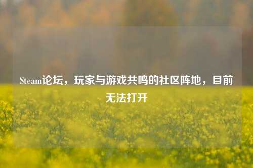 Steam论坛，玩家与游戏共鸣的社区阵地，目前无法打开