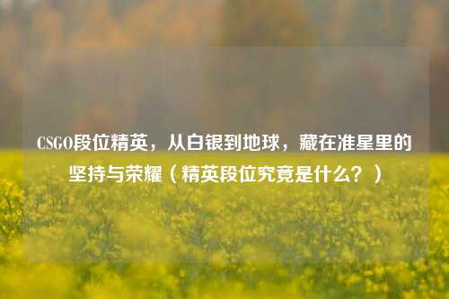 CSGO段位精英，从白银到地球，藏在准星里的坚持与荣耀（精英段位究竟是什么？）