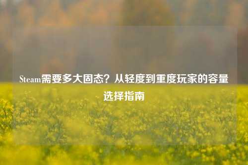 Steam需要多大固态？从轻度到重度玩家的容量选择指南