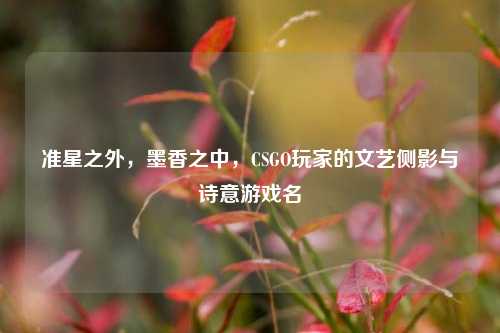 准星之外，墨香之中，CSGO玩家的文艺侧影与诗意游戏名