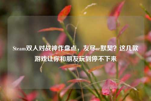 Steam双人对战神作盘点，友尽or默契？这几款游戏让你和朋友玩到停不下来
