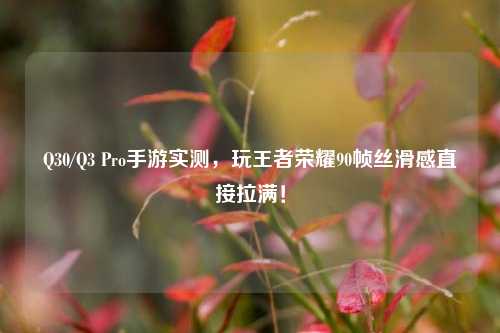 Q30/Q3 Pro手游实测，玩王者荣耀90帧丝滑感直接拉满！