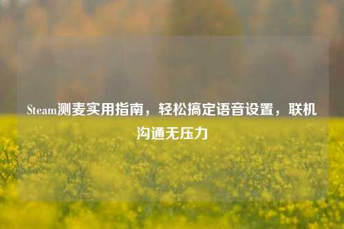 Steam测麦实用指南，轻松搞定语音设置，联机沟通无压力