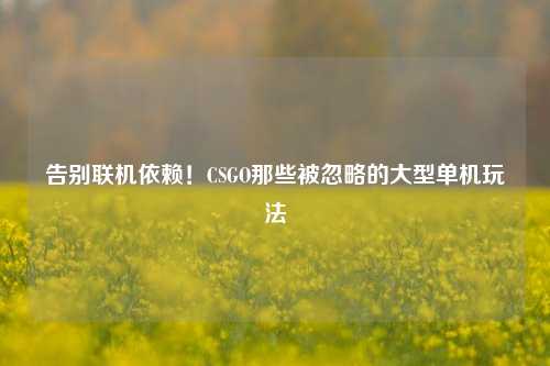告别联机依赖！CSGO那些被忽略的大型单机玩法