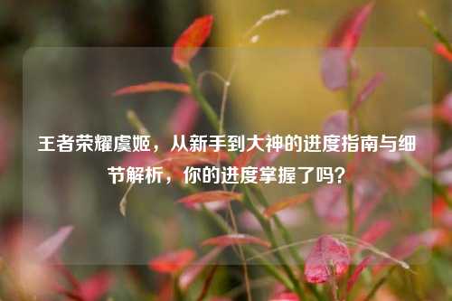 王者荣耀虞姬，从新手到大神的进度指南与细节解析，你的进度掌握了吗？