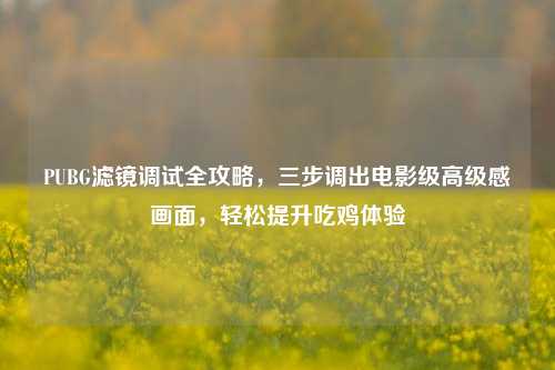 PUBG滤镜调试全攻略，三步调出电影级高级感画面，轻松提升吃鸡体验