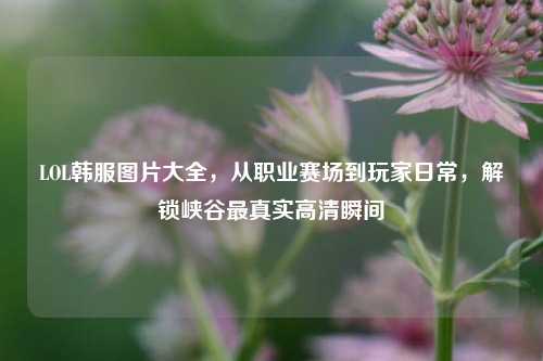LOL韩服图片大全，从职业赛场到玩家日常，解锁峡谷最真实高清瞬间